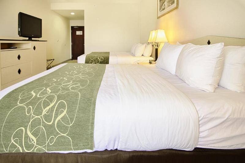 Comfort Inn & Suites Airport Convention Center RenoReno  Kültér fotó